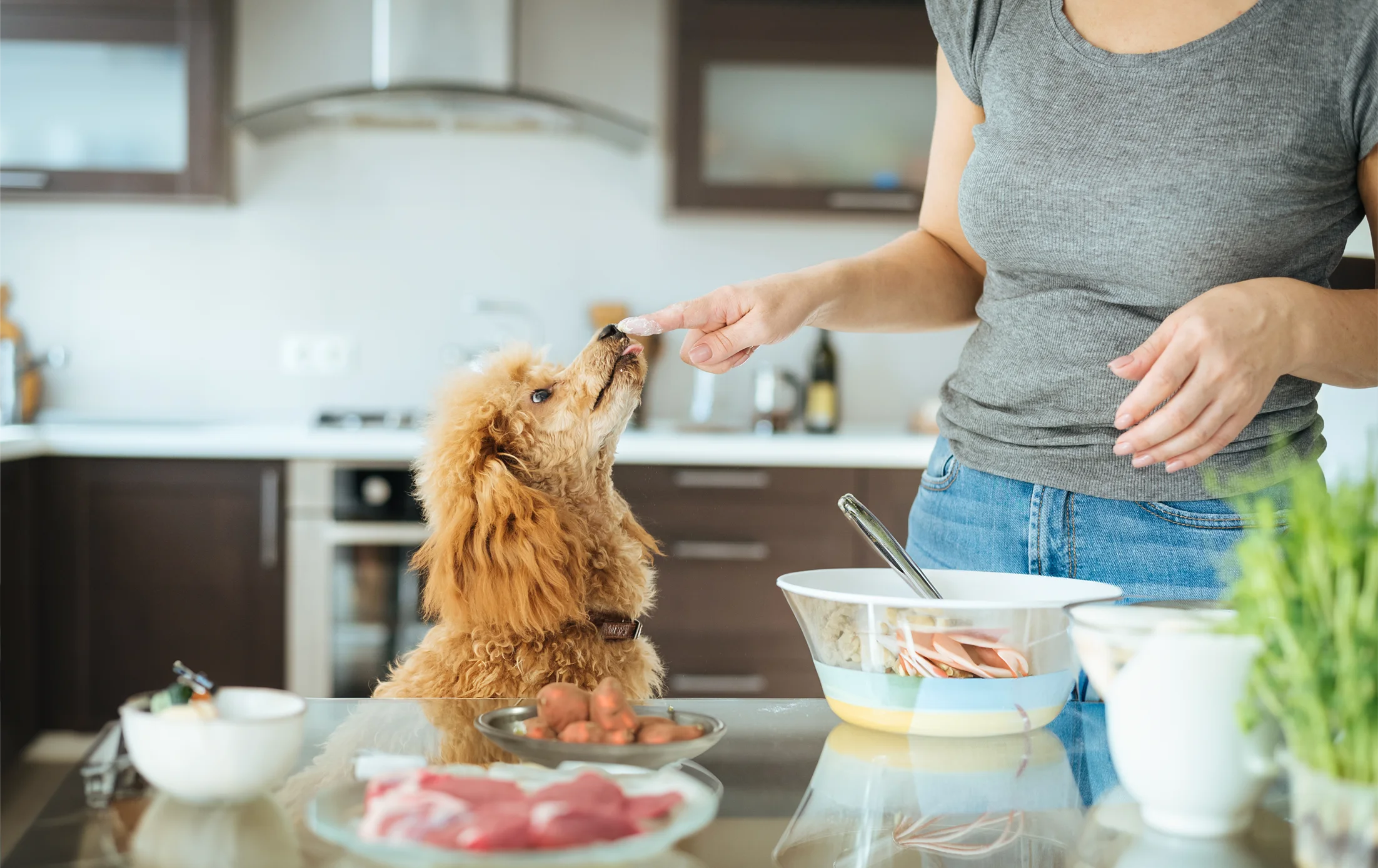 Cooking with your pup